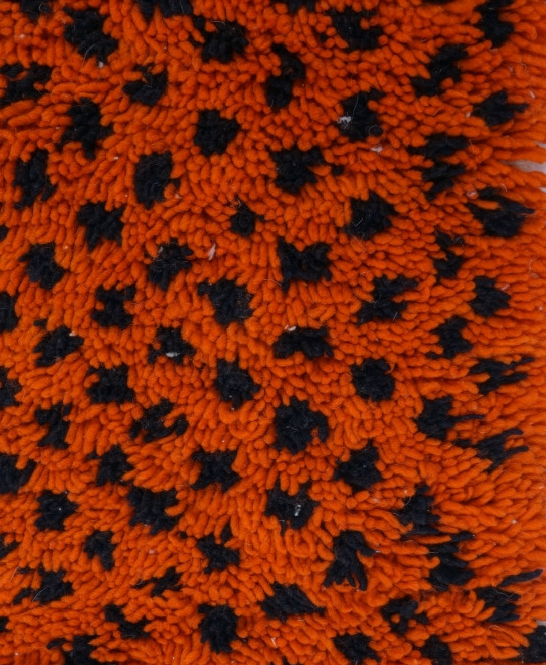 Authentic Custom Beni Ourain Rug | Vibrant Colorblock Leopard